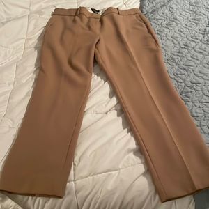 Gorgeous Brown Trousers from J.Crew